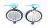 Butterfly Valves